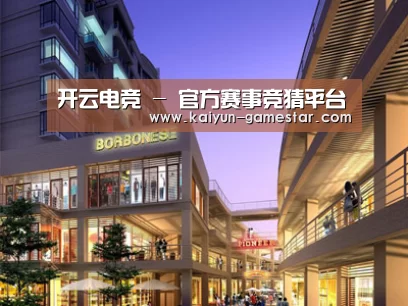 案例展示一(图1)