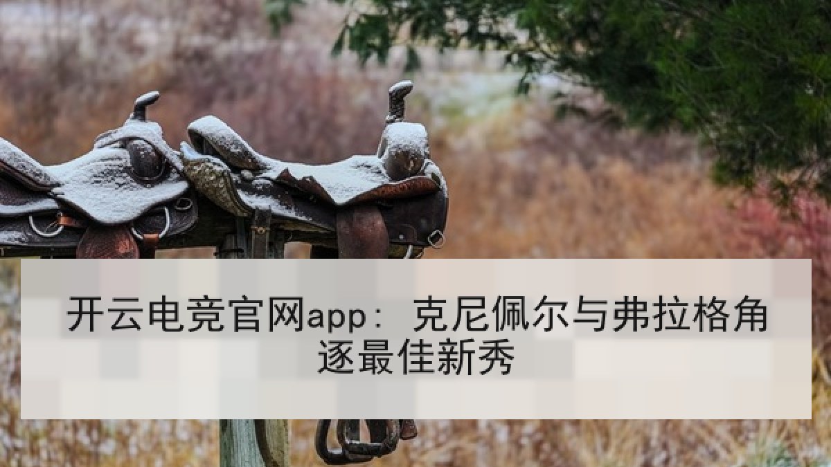 开云电竞官网app: 克尼佩尔与弗拉格角逐最佳新秀
