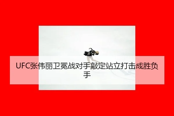 zhang-wei-li-wei-mian-zhan-dui-shou-qiao-ding-zhan-li-da-ji-cheng-sheng-fu-shou-2-741.jpg