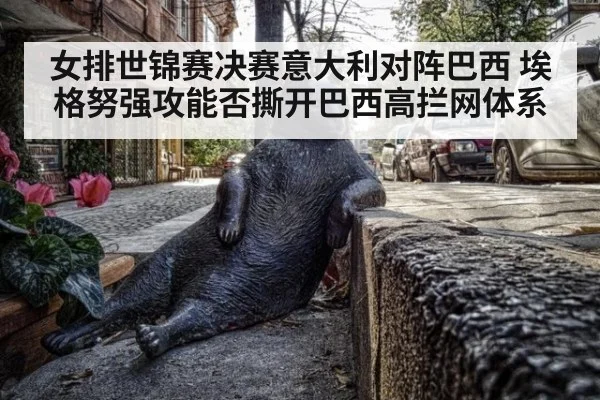 女排世锦赛决赛意大利对阵巴西 埃格努强攻能否撕开巴西高拦网体系