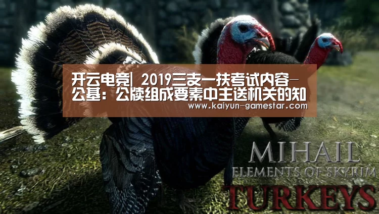 开云棋牌游戏